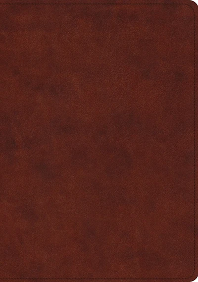 Esv Study Bible, Large Print (trutone, Forest/tan, Trail Design)