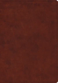 Esv Study Bible, Large Print (trutone, Forest/tan, Trail Design)