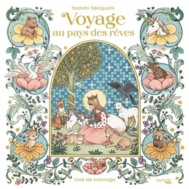 Voyage au pays des rêves: Livre de coloriage
