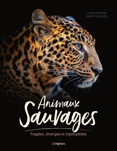 Animaux sauvages: fragiles, étranges et impitoyables