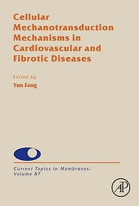 Cellular Mechanotransduction Mechanisms Cardiovascular and Fibrotic Diseases