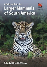 A Field Guide to the Larger Mammals of South America