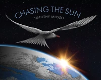 Chasing the Sun