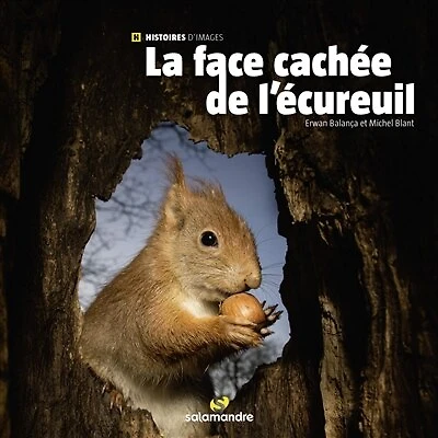 La Face Cachée De L'écureuil