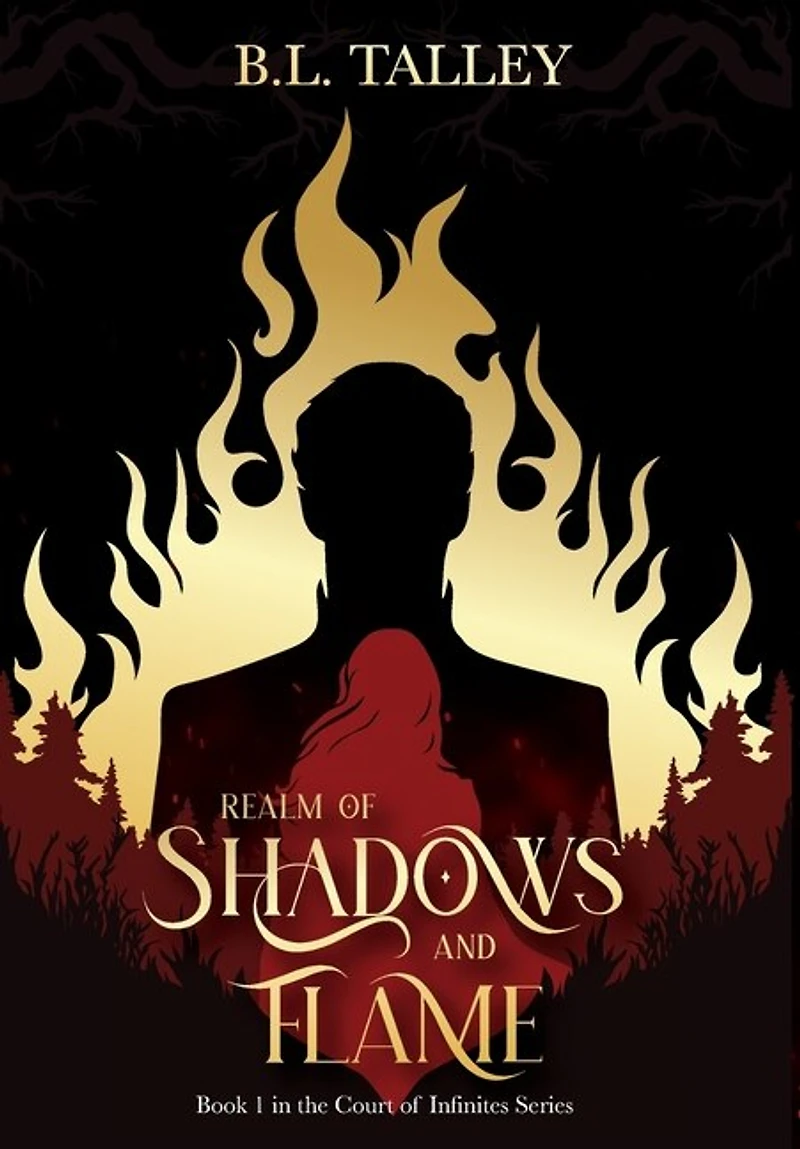 Realm of Shadows and Flame: Book 1 in the Court of Infinites Series