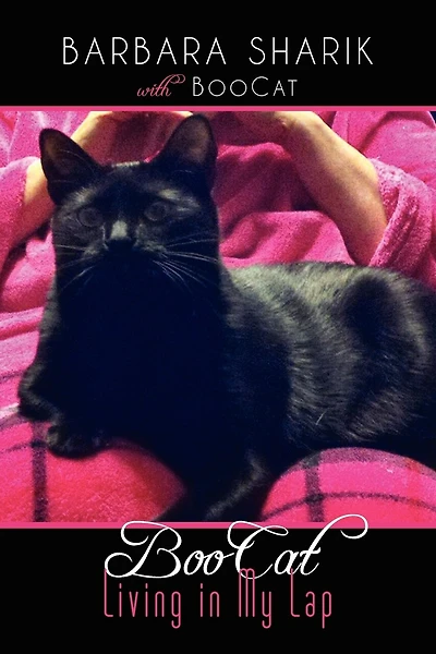 BooCat: Living in My Lap