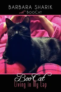 BooCat: Living in My Lap
