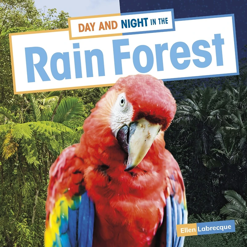 Day and Night the Rain Forest