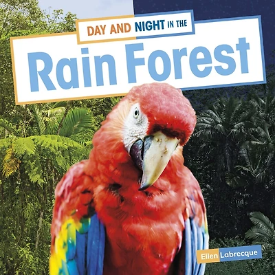 Day and Night the Rain Forest