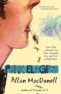 Punk Elegies