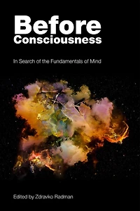 Before Consciousness: Search of the Fundamentals Mind