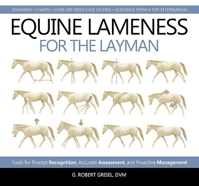 Equine Lameness for the Layman: Tools Prompt Recognition, Accurate Assessment, and Proactive Management