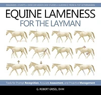 Equine Lameness for the Layman: Tools Prompt Recognition, Accurate Assessment, and Proactive Management