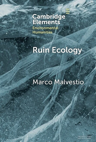 Ruin Ecology: An Exercise Environmental Imagination
