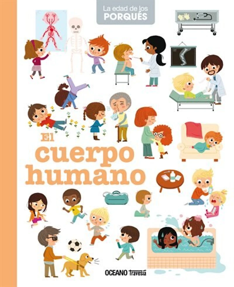 El cuerpo humano