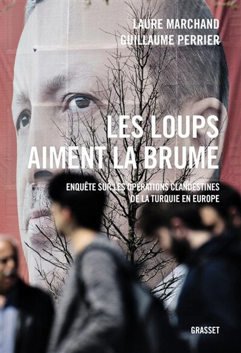 les loups aiment la brume : enquête sur opérations clandestines de Turquie en Europe: Europe
