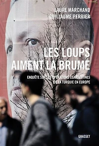 les loups aiment la brume : enquête sur opérations clandestines de Turquie en Europe: Europe