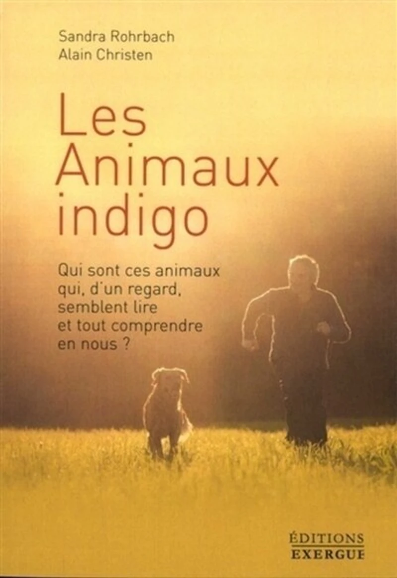 Les animaux indigo: qui sont ces qui, d'un regard, semblent lire et tout comprendre en nous ?