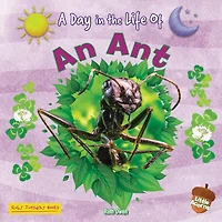 An Ant