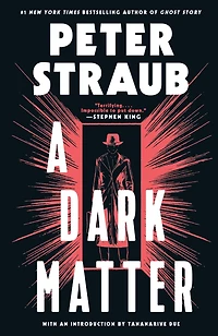 A Dark Matter: Novel