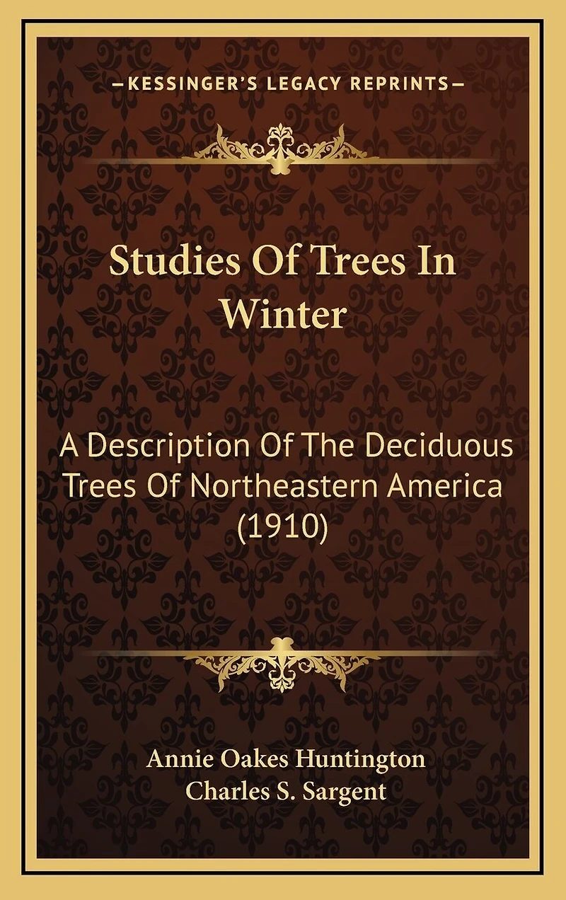 Studies Of Trees In Winter: A Description Of The Deciduous Trees Of Northeastern America (1910)
