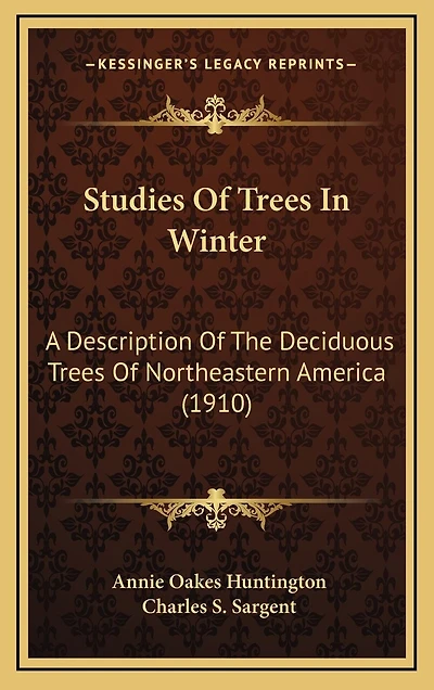 Studies Of Trees In Winter: A Description Of The Deciduous Trees Of Northeastern America (1910)