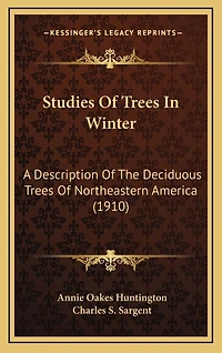 Studies Of Trees In Winter: A Description Of The Deciduous Trees Of Northeastern America (1910)
