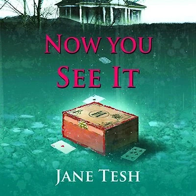 Now You See It: A Grace Street Mystery