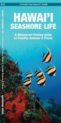 Hawai'i Seashore Life, 2nd Ed: A Folding Pocket Guide to Familiar Animals & Plants