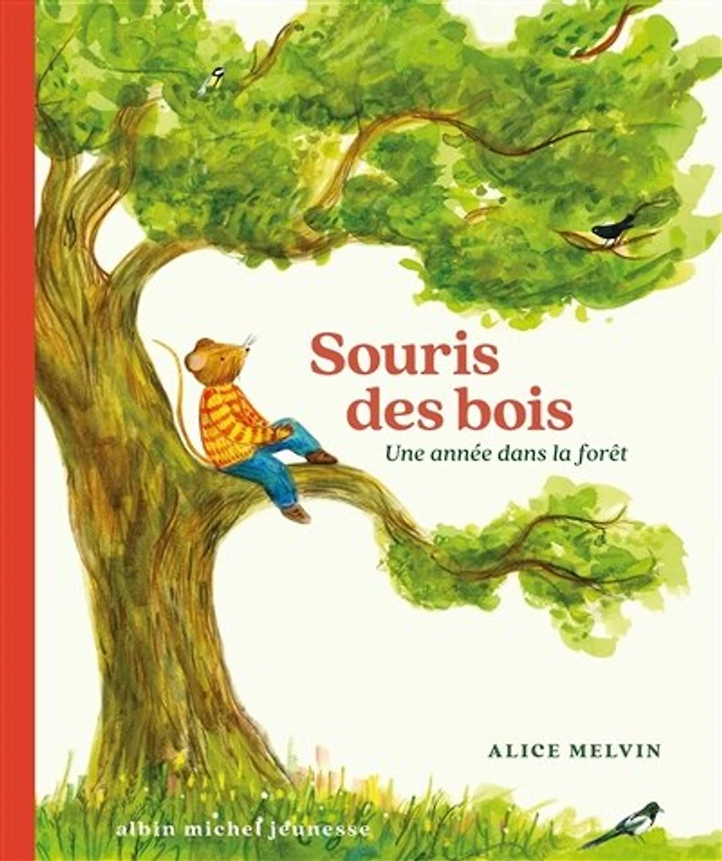 Souris des bois: une année dans la forêt