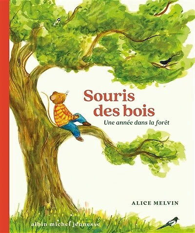 Souris des bois: une année dans la forêt