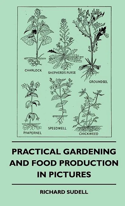 Practical Gardening And Food Production Pictures