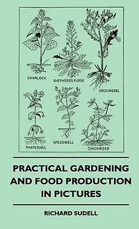 Practical Gardening And Food Production Pictures