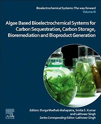 Algae Based Bioelectrochemical Systems for Carbon Sequestration, Storage, Bioremediation and Bioproduct Generation