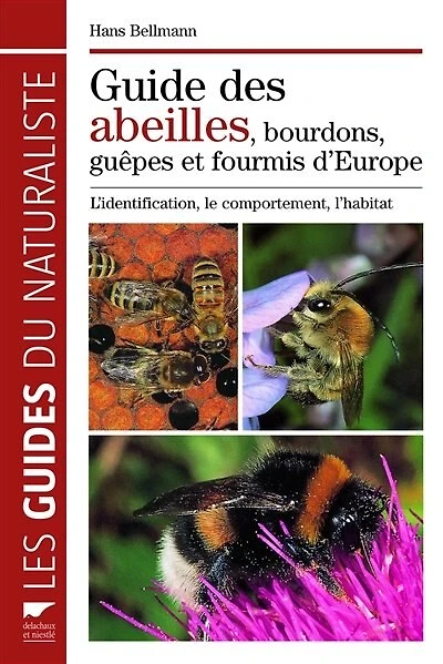 Abeilles, bourdons, guêpes et fourmis: plus de 250 espèces France d'Europe