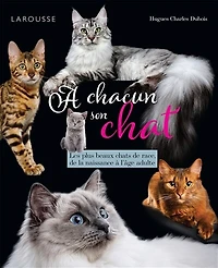 à chacun son chat: les plus beaux chats de race, la naissance l'âge adulte