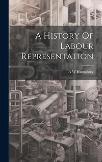 A History Of Labour Representation