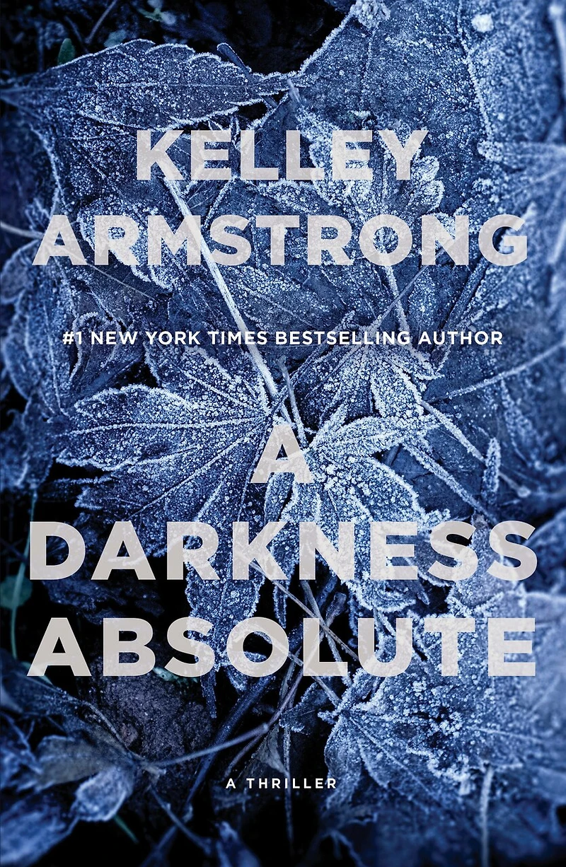 A Darkness Absolute: Rockton Thriller (city Of The Lost 2)