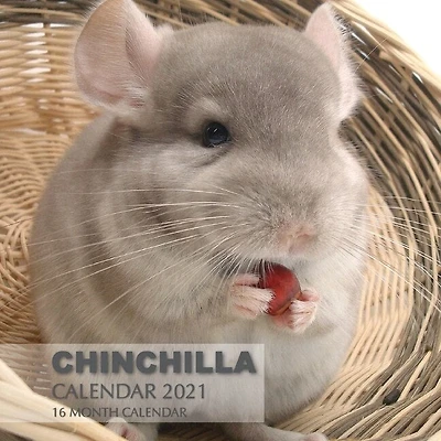 Chinchilla Calendar 2021: 16 Month Calendar