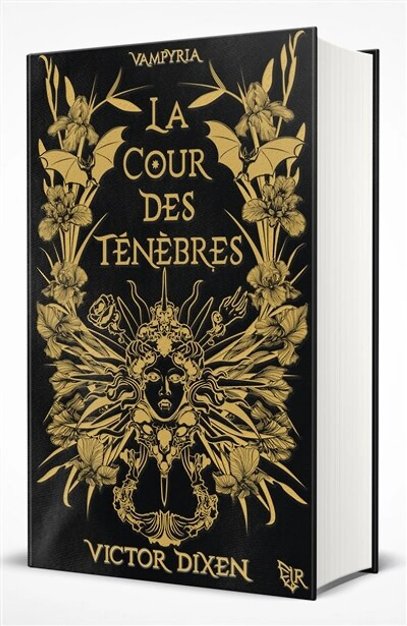 La cour des Ténèbres