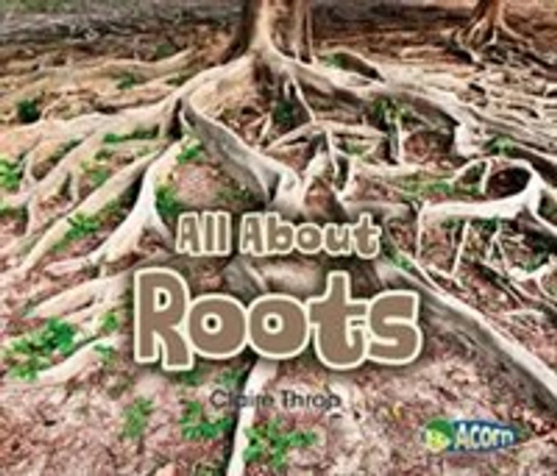 All About Roots