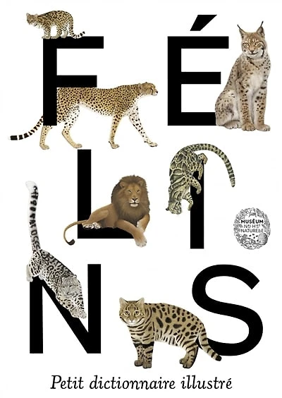 Félins: petit dictionnaire illustré