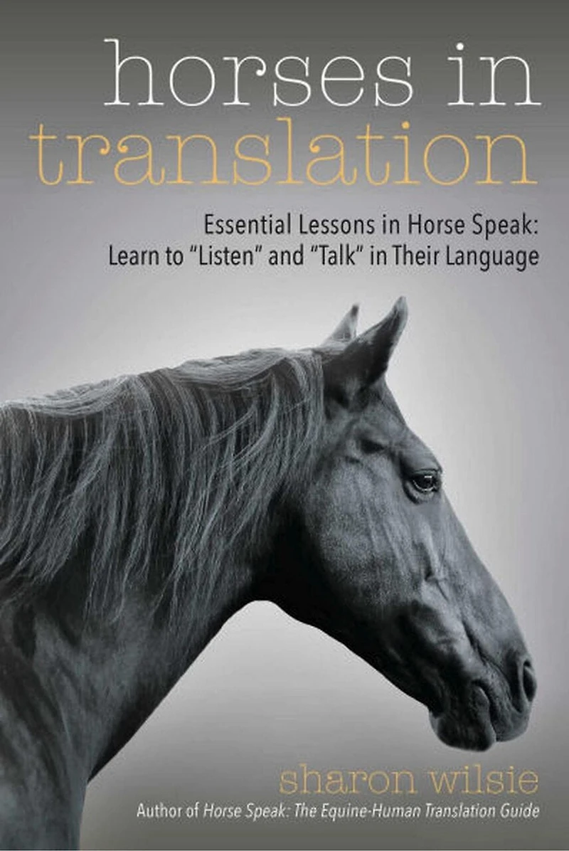 Horses Translation: Essential Lessons Horse Speak