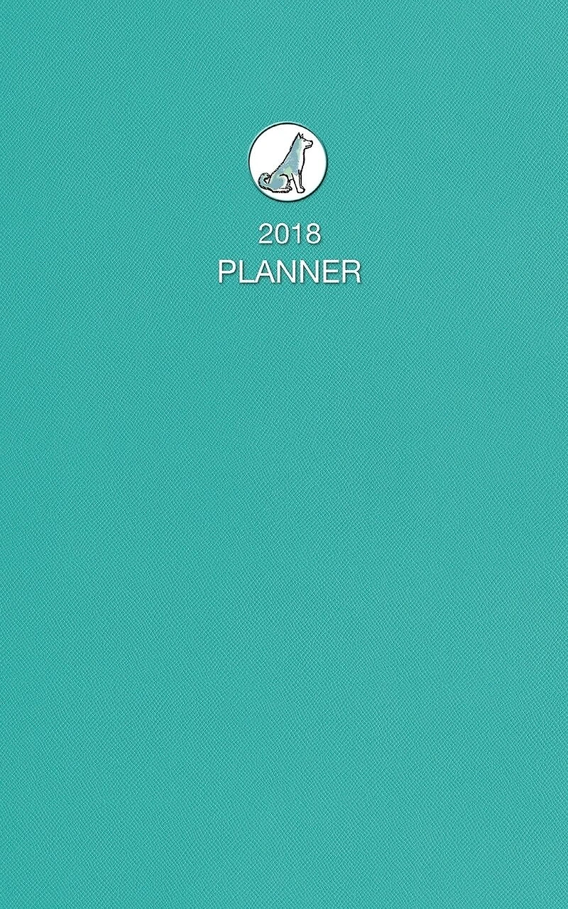 2018 Pocket Planner (focus on two-week plans at a time)