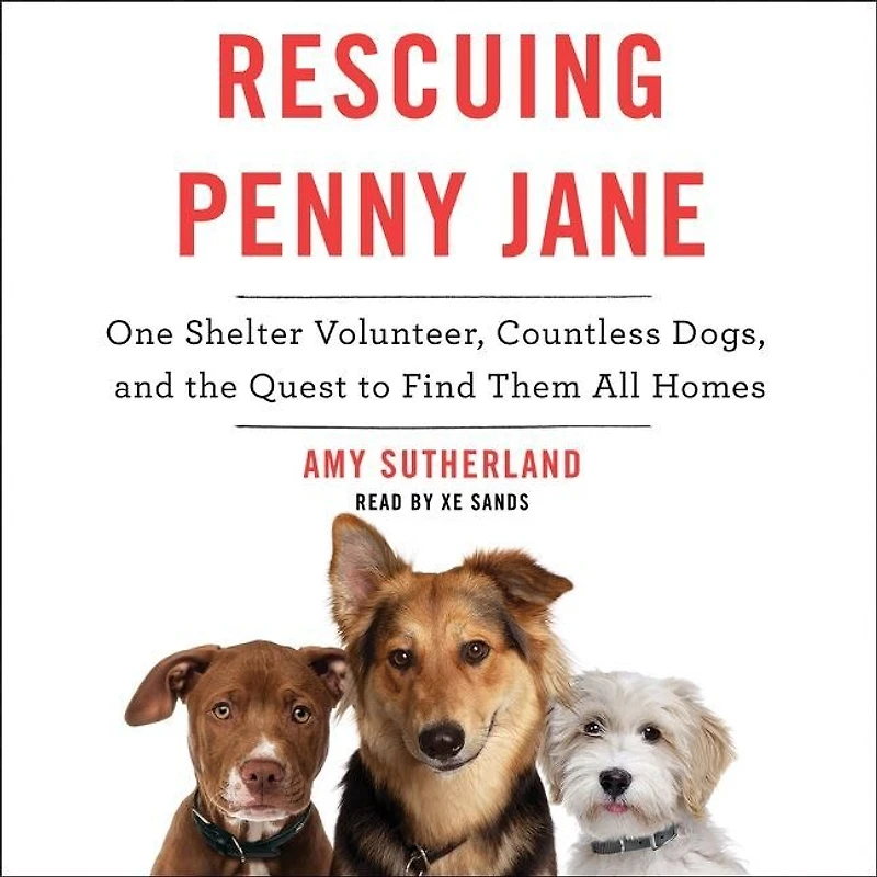 Rescuing Penny Jane: One Shelter Volunteer, Countless Dogs, And The Quest To Find Them All Homes