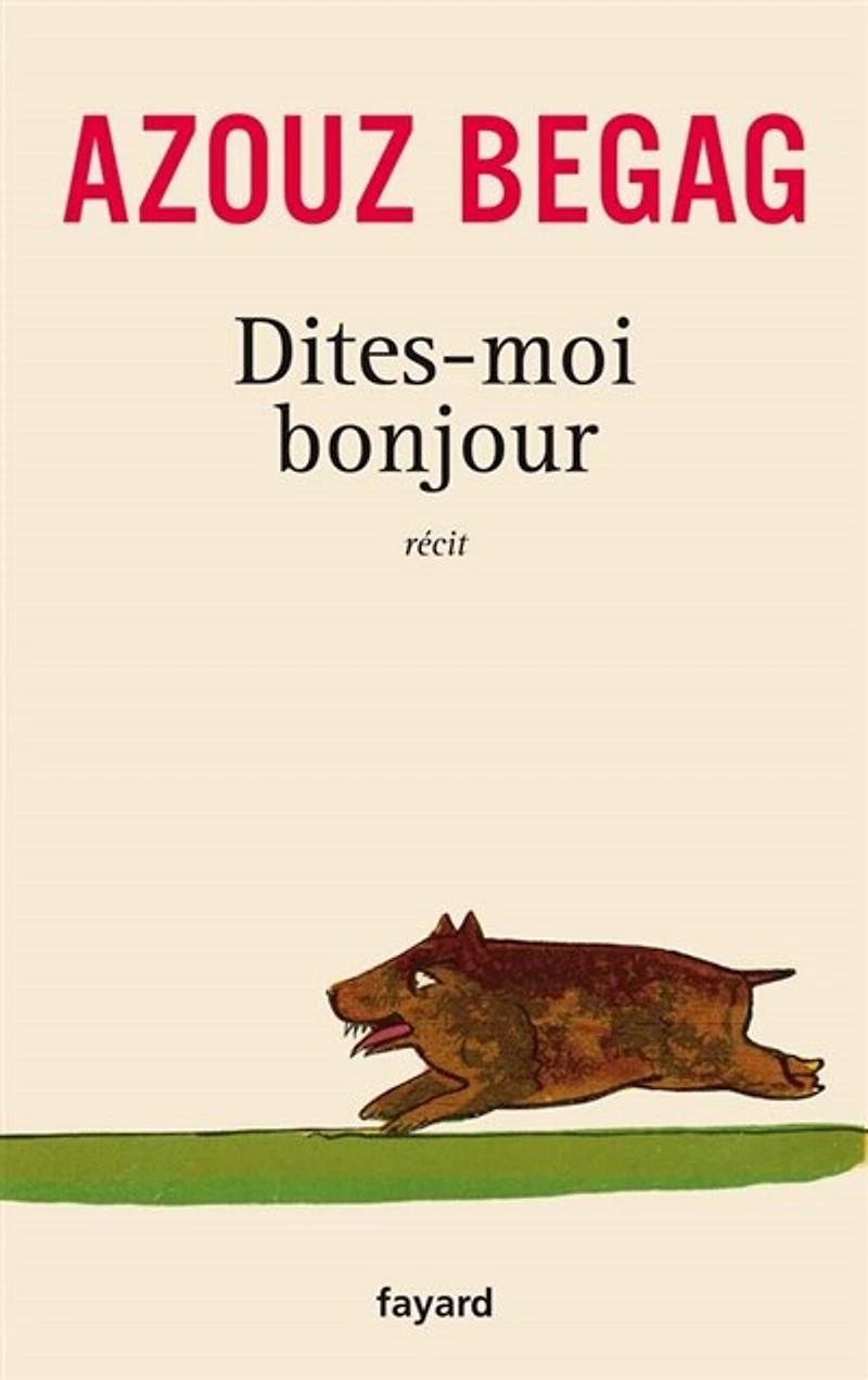 Dites-moi bonjour: récit
