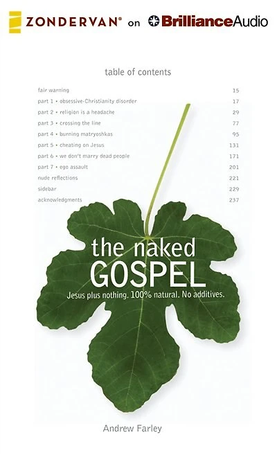 The Naked Gospel: The Truth You May Never Hear in Church