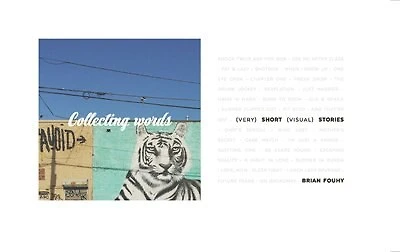 Collecting Words: Short Visual Stories