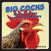 Big Cocks: Hilarious Snaps Of Prominent Poultry