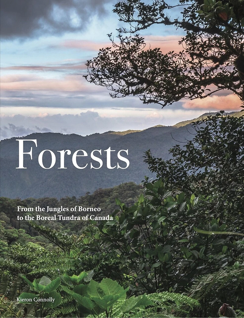 FORESTS: From the Amazon Rainforest to Siberian Taiga